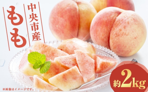 中央市産 もも 約2kg くだもの 果物 フルーツ ピーチ モモ 桃 旬の果物 国産 山梨県産 【 2026年7月下旬発送予定 】 2535731 - 山梨県中央市