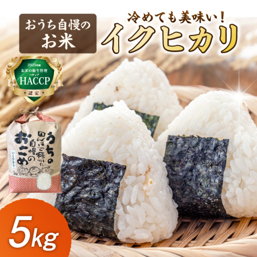 おうち自慢のお米　イクヒカリ 5kg 2536146 - 和歌山県御坊市