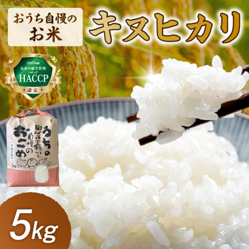 おうち自慢のお米　キヌヒカリ5kg 2536148 - 和歌山県御坊市