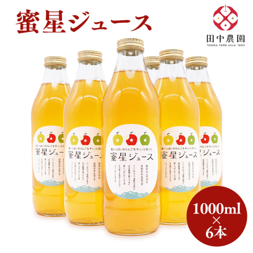 100年の歴史 蜜星ジュース 1L×6本 林檎 林檎ジュース フルーツ 果物 アップル 青森県 平川市 平川市産 お取り寄せ 果汁 100% リンゴジュース ジュース 贈答 オリジナル ミックス 飲料 田中農園  2536224 - 青森県平川市