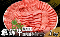 【4月発送】 贅沢！ 飛騨牛 モモまたはカタ 焼肉用 1kg 4～6人前 牛肉 和牛 肉 焼肉 BBQ 霜降り カルビ 赤身 モモ カタ 東白川村 岐阜 養老ミート