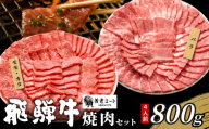 【5月発送】 贅沢！ 飛騨牛 焼肉セット 計800g 4人前 牛肉 和牛 肉 焼肉 BBQ 霜降り カルビ 赤身 モモ カタ 東白川村 岐阜 養老ミート