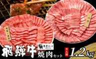 【5月発送】 贅沢！ 飛騨牛 焼肉セット 計1.2kg 6人前 牛肉 和牛 肉 焼肉 BBQ 霜降り カルビ 赤身 モモ カタ 東白川村 岐阜 養老ミート