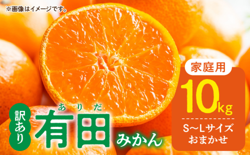 DZ6201_11_【2026年11月発送】ご家庭用 有田みかん 和歌山 S～Lサイズ 大きさお任せ 約10kg 2536358 - 和歌山県湯浅町