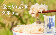 米 令和7年産 金のいぶき 玄米 5kg 宮城県産 お米 国産 ヨシ腐葉土米 コメ 5キロ 少量 小分け 家庭用 ご飯 げんまい ご当地米 おにぎり ごはん 美味しい 主食 栄養豊富 健康食品 食物繊維 ビタミン ヘルシー 送料無料 お取り寄せ 宮城県 石巻 石巻市 防災減災