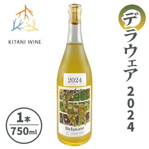 木谷ワイン デラウェア2024｜日本ワイン 国産ワイン 白ワイン フルーティー フレッシュ ぶどうワイン 奈良 ワイン [3258] 2536423 - 奈良県香芝市