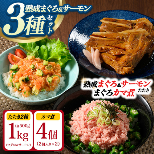 【県水の熟成まぐろ】漁師作りプレミアム、熟成サーモンたたき、まぐろカマ煮詰め合わせセット（まぐろたたき、サーモンたたき各500g×1、まぐろカマ煮2個入り×2） | 高品質 鮪 まぐろ 脂 たたき まぐろのたたき メバチ キハダ 寿司 すし 海鮮 小分け 海鮮丼 手巻き寿司 神奈川 相模原 ※北海道・沖縄・離島への配送不可 2536440 - 神奈川県相模原市