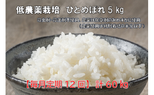 『毎月定期12回』低農薬栽培米　ひとめぼれ ５kg 253650 - 岩手県一関市