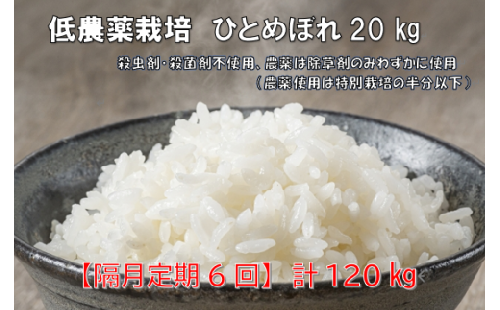 【先行予約】『隔月定期６回』低農薬栽培米　ひとめぼれ 20kg