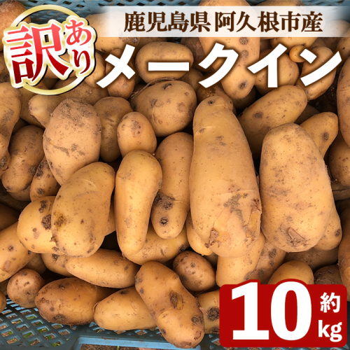 ＜先行予約受付中！2026年6月以降順次発送予定＞訳あり！じゃがいも メークイン(10kg) 国産 鹿児島県産 じゃがいも ジャガイモ 芋 ポテト 訳アリ 野菜 期間限定 数量限定 スープ カレー シチュー 常温 常温配送 【慶越農園】akn107-03 2536793 - 鹿児島県阿久根市