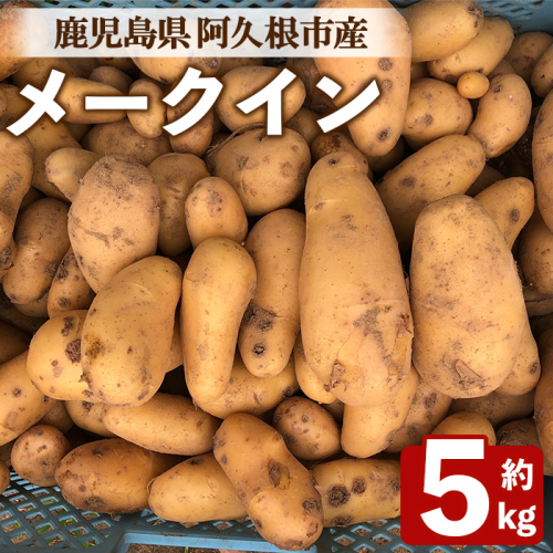 ＜先行予約受付中！2026年6月以降順次発送予定＞じゃがいも メークイン(5kg) 国産 鹿児島県産 阿久根市産 じゃがいも ジャガイモ 芋 ポテト 野菜 期間限定 数量限定 スープ カレー シチュー 常温 常温配送 【慶越農園】akn107-05 2536795 - 鹿児島県阿久根市