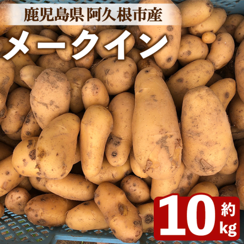 ＜先行予約受付中！2026年6月以降順次発送予定＞じゃがいも メークイン(10kg) 国産 鹿児島県産 阿久根市産 じゃがいも ジャガイモ 芋 ポテト 野菜 期間限定 数量限定 スープ カレー シチュー 常温 常温配送 【慶越農園】akn107-06 2536796 - 鹿児島県阿久根市