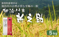 【加治川産新之助】 令和7年産 新潟県産 新之助 5kg 新潟県 新発田市 加治川産 新発田産 新潟 ふるさと納税 精米 米 お米 新之助 白米 米 お米 こめ コメ ライス ご飯 ごはん 美味しい 贈り物 国産 新潟県 新発田市 お取り寄せ 令和7年産米 産地直送 GAP認証 JGAP アグリ加治川 agk005_01