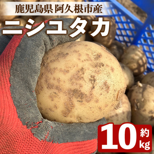 ＜先行予約受付中！2026年6月以降順次発送予定＞じゃがいも ニシユタカ(10kg) 国産 鹿児島県産 阿久根市産 じゃがいも ジャガイモ 芋 ポテト にしゆたか 野菜 期間限定 数量限定 ポテトサラダ コロッケ 常温 常温配送 【慶越農園】akn107-10 2536863 - 鹿児島県阿久根市