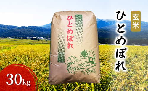 玄米 ひとめぼれ 30kg お米 米 こめ コメ 令和7年産 秋田県 にかほ市 2537006 - 秋田県にかほ市
