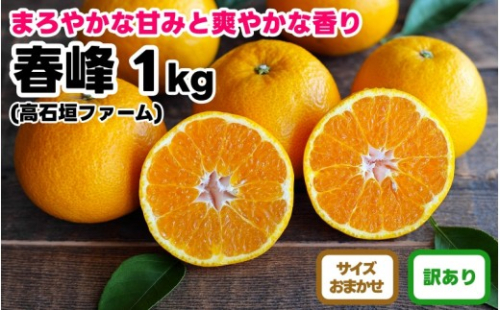 訳あり 春峰 1kg M～2Lサイズおまかせ 高石垣ファーム 2537109 - 和歌山県有田川町