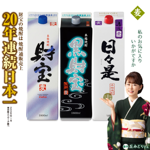 A1-22559／【麦焼酎】紙パック 3種3本 温泉水 財宝 鹿児島 焼酎 お酒 2537194 - 鹿児島県垂水市
