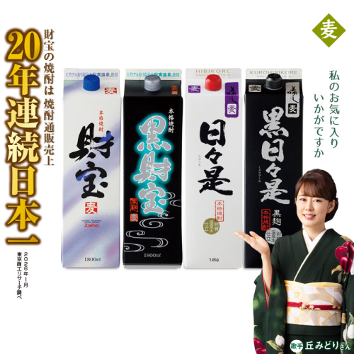 B2-22140／【麦焼酎】紙パック 4種4本 温泉水 財宝 鹿児島 焼酎 お酒  2537198 - 鹿児島県垂水市