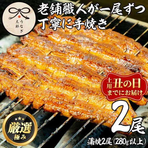 【0263708a-2607】＜丑の日までにお届け！＞鹿児島県産東串良町のうなぎ蒲焼・秘伝のタレ付き(2尾・計280g以上) うなぎ 高級 ウナギ 鰻 国産 蒲焼 蒲焼き たれ 鹿児島 うな重 うな丼 土用の丑の日 【うなぎ太郎】 2537202 - 鹿児島県東串良町