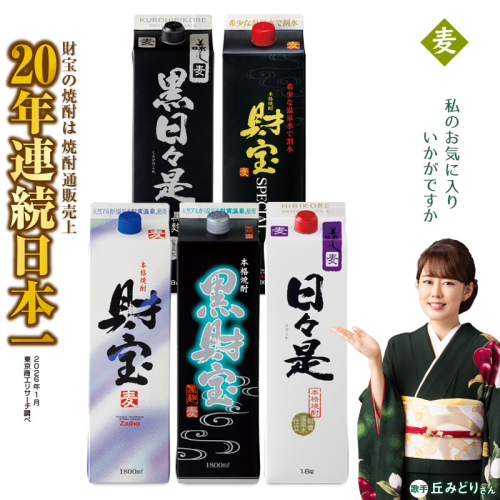 B2-22144／【麦焼酎】紙パック 5種5本 温泉水 財宝 鹿児島 焼酎 お酒 2537221 - 鹿児島県垂水市