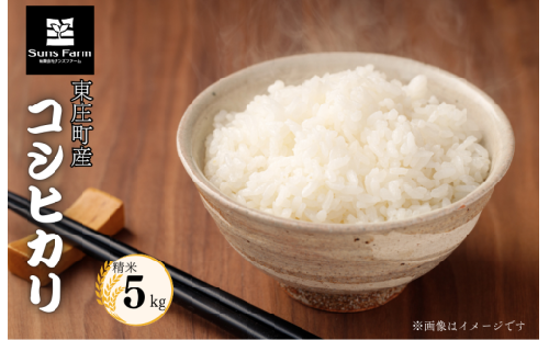 東庄町産　コシヒカリ　精米　5kg / 米 こめ コメ お米 おこめ コシヒカリ こしひかり 令和7年 白米 精米 ごはん 5kg 千葉県 東庄町 送料無料 2537351 - 千葉県東庄町