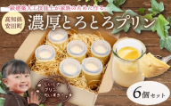 濃厚とろとろプリン 1級建築大工技能士 が作る プリン 6個セット プディング スイーツ スィーツ 希少糖 アルロース 贈り物 おやつ お土産 土産 手土産 プレゼント ティータイム コーヒー 紅茶 日本茶 お茶請け 高知県 安田町 KD-0003
