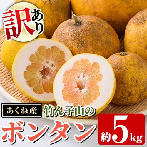 ＜先行予約受付中！2027年1月上旬以降順次発送予定＞訳あり！竹ん子山のボンタン(約5kg) 国産 鹿児島県産 阿久根産 柑橘 果物 フルーツ ぼんたん 文旦 訳アリ 果実 期間限定 数量限定 【竹ん子山】akn097-15 2537586 - 鹿児島県阿久根市