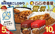 【定期便6回】ココイチ ビーフカレー・ポークカレー各5個 &コシヒカリ5kgの贅沢セット