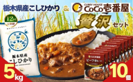 【定期便12回】ココイチ ビーフカレー10個 &コシヒカリ5kgの贅沢セット