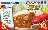 [定期便3回]ココイチ ポークカレー10個 &コシヒカリ5kgの贅沢セット