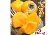 太秋柿 柿 約2kg 株式会社エフビーネット《10月上旬-11月上旬頃出荷》熊本県 菊池市 柿 かき たいしゅうがき 果物 フルーツ 秋の味覚 旬 デザート