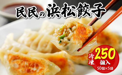 民民の浜松餃子(250個) 50個入り×5袋 ギョウザ 餃子 ぎょうざ 惣菜 中華料理 静岡 浜松市 【配送不可：離島】 2538301 - 静岡県浜松市