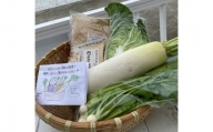 野菜がおいしく漬かる糠漬けセット 100サイズ箱【015E-010】