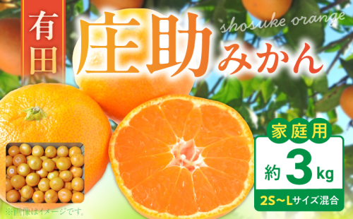 BK6018_【2026年先行予約】庄助みかん (家庭用・サイズ混合) 約3kg 2539319 - 和歌山県湯浅町