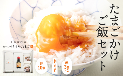 たまごかけご飯セット 卵10個入り ／ たいまのけはやたまご 卵 たまごかけご飯 おたまはん お米 生卵 奈良県 葛城市【tegg007】 2539320 - 奈良県葛城市
