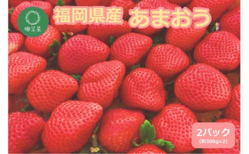 自然栽培 福岡県産あまおう 600g【B5-055】 2539350 - 福岡県飯塚市
