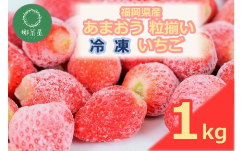 自然栽培 福岡県産あまおう粒揃い(冷凍) 1kg【B5-056】 2539351 - 福岡県飯塚市