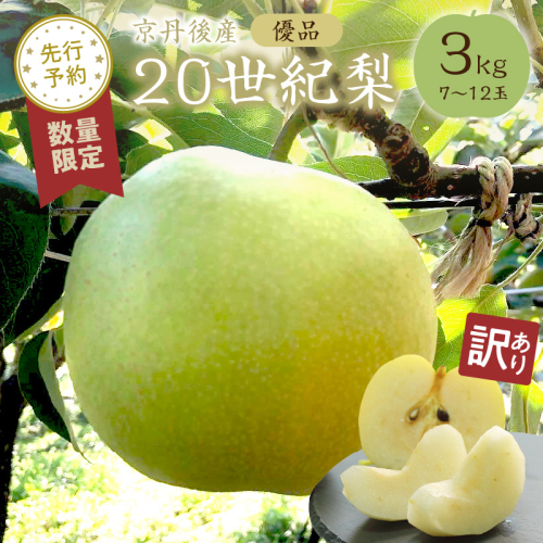 【先行予約／数量限定50】【訳あり】20世紀梨 優品 3kg（7～12玉入り）（2026年9月上旬～発送） なし 二十世紀梨 ふるさと 納税 梨 ふるさと 納税 20世紀梨 2539361 - 京都府京丹後市