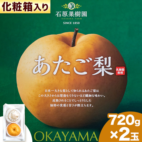【先行予約】あたご 梨 720g×2玉 化粧箱 石原果樹園 《11月中旬-12月下旬頃より発送予定》岡山県 浅口市 フルーツ 果物 ギフト 贈り物 国産 岡山県産 送料無料 2539717 - 岡山県浅口市