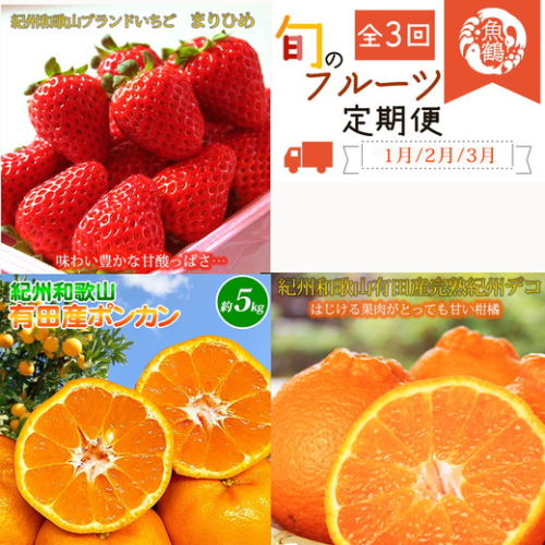 【定期便】【1・2・3月 全3回】紀州和歌山産旬 フルーツ定期便（いちご  約250g×2P 1月、ポンカン 5kg 2月、紀州デコ 約3kg 3月発送） 2540044 - 和歌山県美浜町