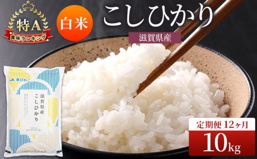 コシヒカリ 白米 10kg 定期 12回　米 コメ お米 こめ 精米 こしひかり 滋賀県 豊郷町 2540052 - 滋賀県豊郷町