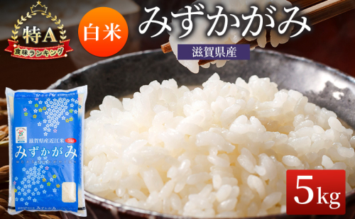 みずかがみ 白米 5kg　米 コメ お米 こめ 精米 ミズカガミ 滋賀県 豊郷町 2540053 - 滋賀県豊郷町