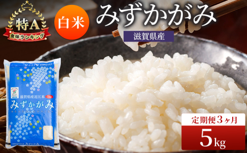 みずかがみ 白米 5kg 定期 3回　米 コメ お米 こめ 精米 ミズカガミ 滋賀県 豊郷町 2540054 - 滋賀県豊郷町