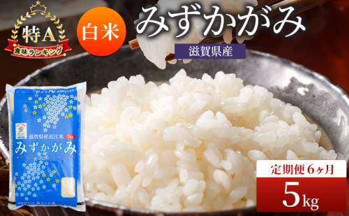 みずかがみ 白米 5kg 定期 6回　米 コメ お米 こめ 精米 ミズカガミ 滋賀県 豊郷町 2540055 - 滋賀県豊郷町