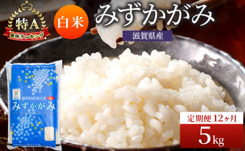 みずかがみ 白米 5kg 定期 12回　米 コメ お米 こめ 精米 ミズカガミ 滋賀県 豊郷町 2540056 - 滋賀県豊郷町