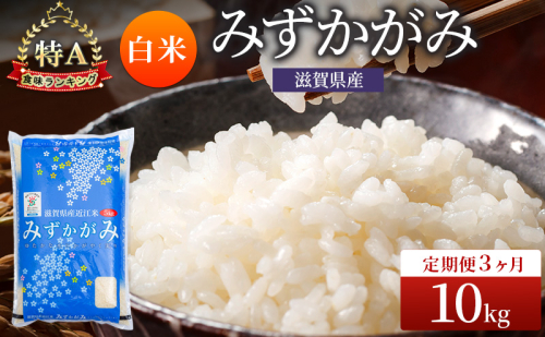 みずかがみ 白米 10kg 定期 3回　米 コメ お米 こめ 精米 ミズカガミ 滋賀県 豊郷町 2540058 - 滋賀県豊郷町