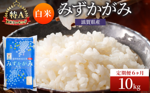 みずかがみ 白米 10kg 定期 6回　米 コメ お米 こめ 精米 ミズカガミ 滋賀県 豊郷町 2540059 - 滋賀県豊郷町