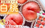 【先行予約】令和8年産 白桃 硬めの桃 秀品 2kg ( 5玉 - 9玉 ) 品種おまかせ 山形県産【2026年8月上旬頃から下旬頃発送予定】※配送不可 沖縄・離島　 012-B-OR008