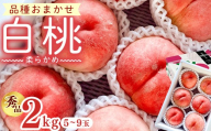 【先行予約】令和8年産 白桃 柔らかめの桃 秀品 2kg ( 5玉 - 9玉 ) 品種おまかせ 山形県産【2026年8月上旬頃から下旬頃発送予定】※配送不可 沖縄・離島　 012-B-OR007