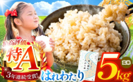 はれわたり 玄米  5kg | 米 お米 こめ コメ 5kg 2025年産 令和7年度産 国産 産地直送 もっちり 甘み 定期 青森の旨い米グランプリ 最優秀賞 獲得 水稲 宝精米所 青森県 六戸町